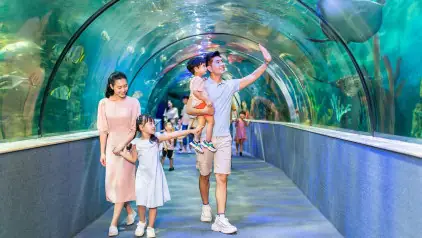 Khu Vui Chơi Nhà Bóng Ở Hà Nội Khu Vui Chơi Nhà Bóng Ở Hà Nội
