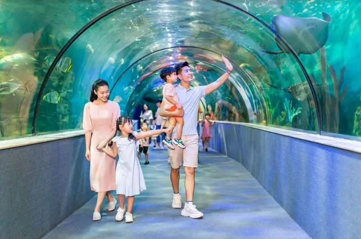 Khu Vui Chơi Nhà Bóng Ở Hà Nội Khu Vui Chơi Nhà Bóng Ở Hà Nội