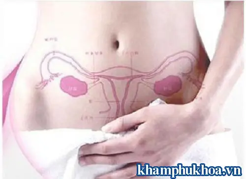 Kích Thước Tử Cung Bình Thường Là Bao Nhiêu