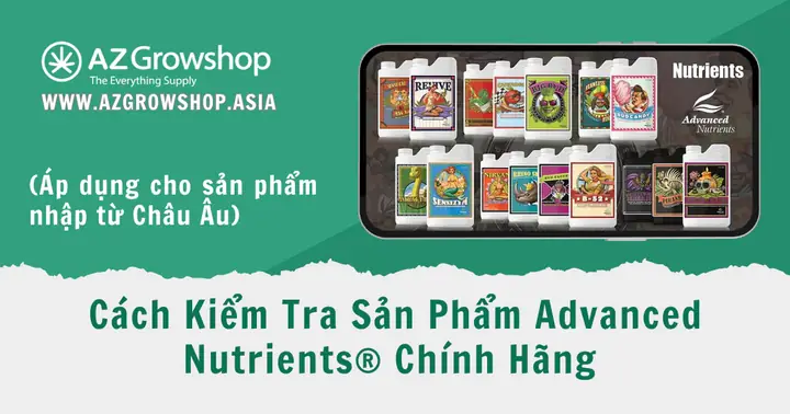 Kiểm Tra Sản Phẩm Chính Hãng