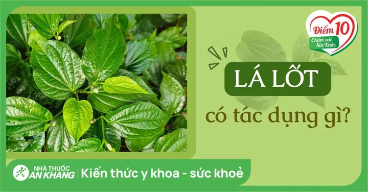 Lá Lốt Đắp Mặt Có Tác Dụng Gì