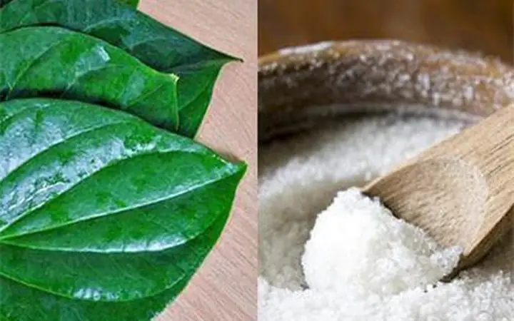 Lá Trầu Không Làm Đẹp Da