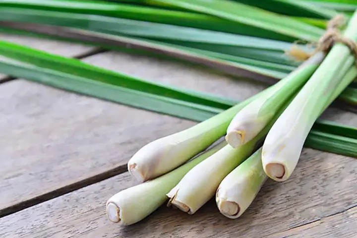 Lá Xông Giải Cảm Cho Bà Bầu