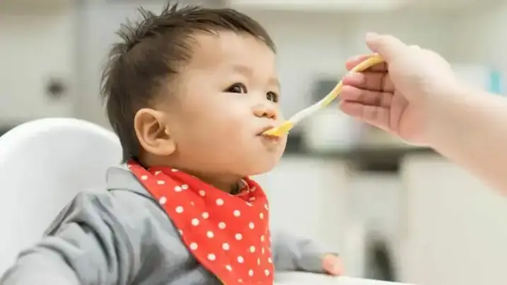Làm Bánh Từ Quả Bơ Cho Bé