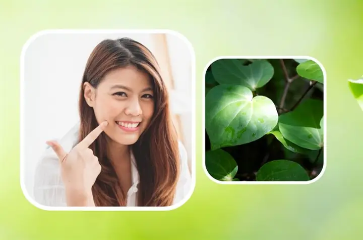 Làm Đẹp Da Bằng Lá Lốt