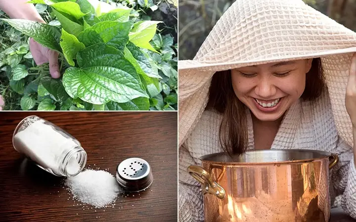 Làm Đẹp Da Bằng Lá Lốt