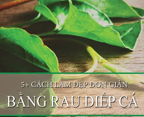 Làm Đẹp Với Rau Diếp Cá