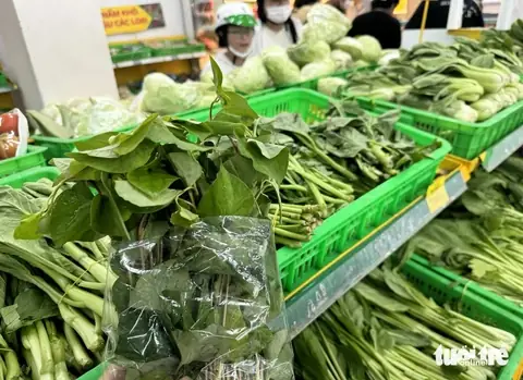 Làm Đẹp Với Rau Diếp Cá