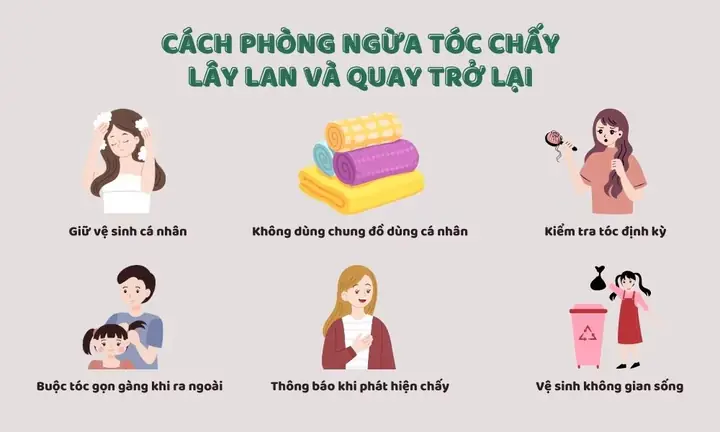 Làm Sao Để Hết Chấy Nhanh Nhất