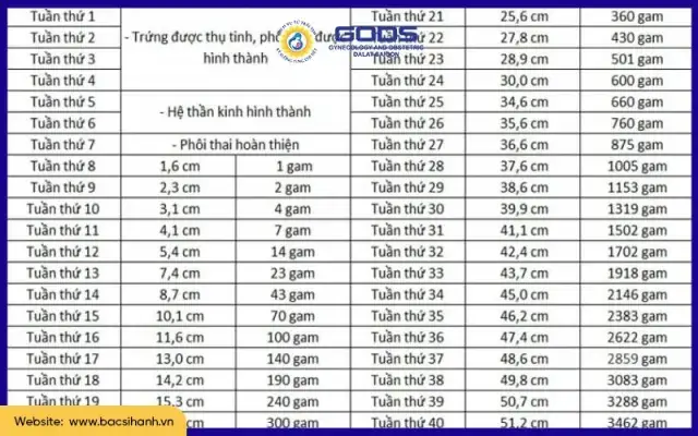 Làm Sao Để Tăng Cân Sau Sinh