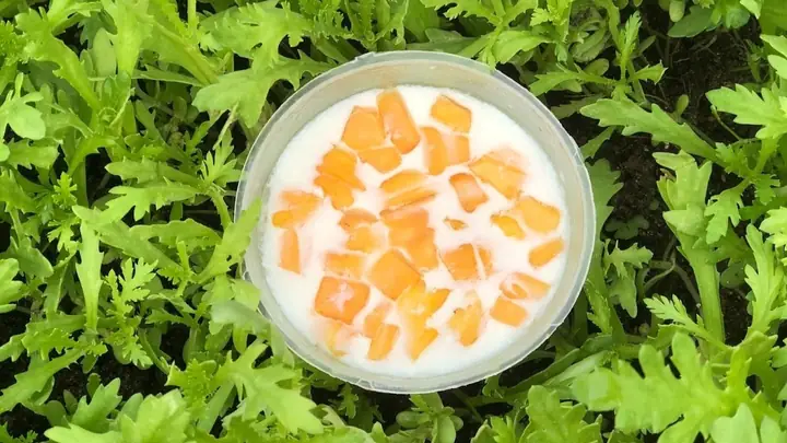 Làm Sữa Chua 2 Sôi 1 Lạnh