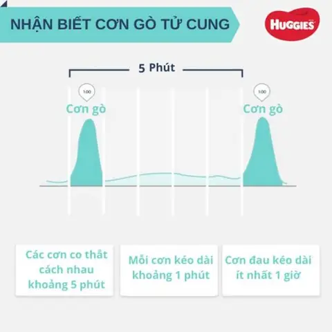 Làm Thế Nào Để Có Cơn Chuyển Dạ