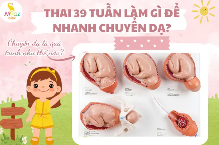 Làm Thế Nào Để Có Cơn Chuyển Dạ