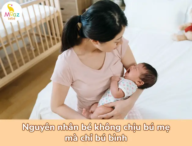 Làm Thế Nào Để Trẻ Chịu Bú Bình