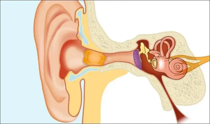 Lấy Ráy Tai Khô Cho Bé