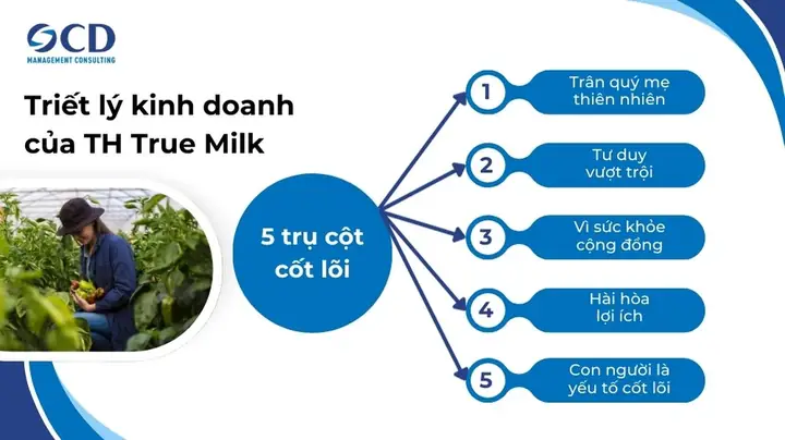 Lĩnh Vực Kinh Doanh Của Th True Milk Lĩnh Vực Kinh Doanh Của Th True Milk