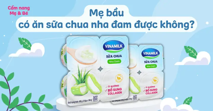 Lỡ Ăn Sữa Chua Nha Đam Khi Mang Thai