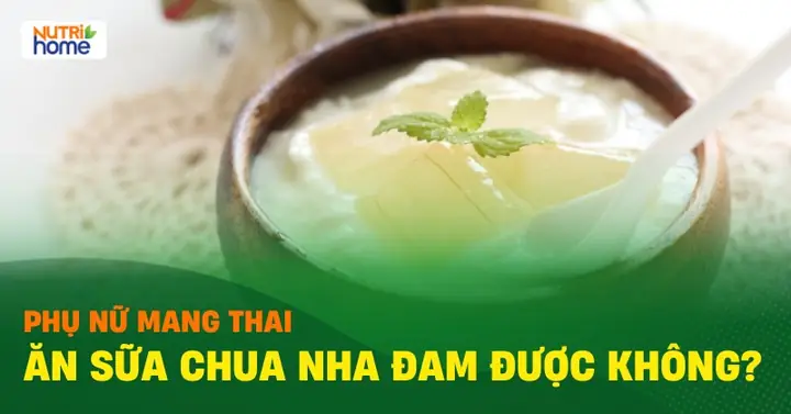 Lỡ Ăn Sữa Chua Nha Đam Khi Mang Thai