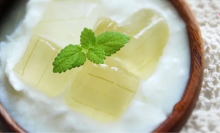 Lỡ Ăn Sữa Chua Nha Đam Khi Mang Thai
