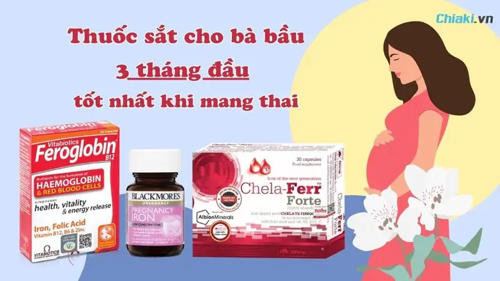 Loại Sữa Nào Tốt Nhất Cho Phụ Nữ Mang Thai