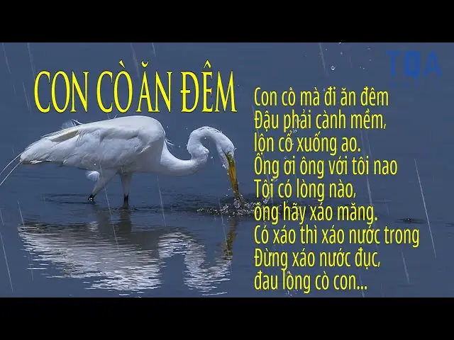 Lời Bài Hát Con Ơi Con Ngủ Cho Ngoan