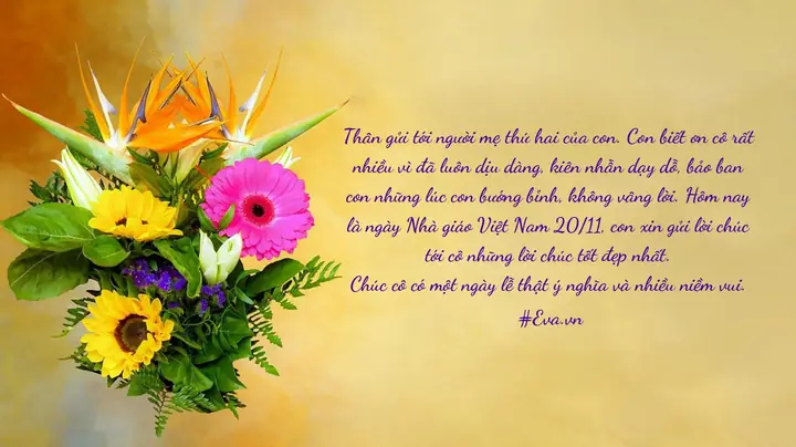 Lời Chúc 20 11 Đơn Giản Ý Nghĩa Lời Chúc 20 11 Đơn Giản Ý Nghĩa