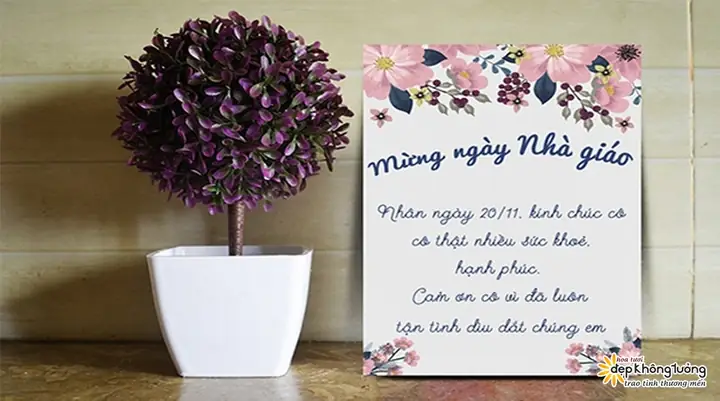 Lời Chúc Cô Giáo 20 11 Ngắn Gọn Ý Nghĩa