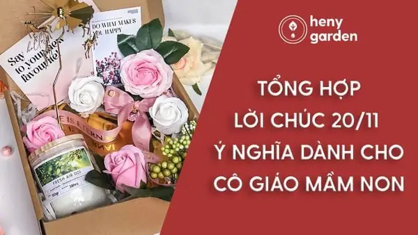 Lời Chúc Ngày 20 11 Cho Cô Giáo
