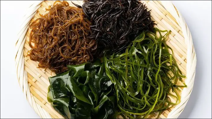 Lợi Ích Của Canh Rong Biển