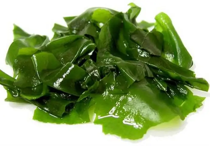 Lợi Ích Của Canh Rong Biển