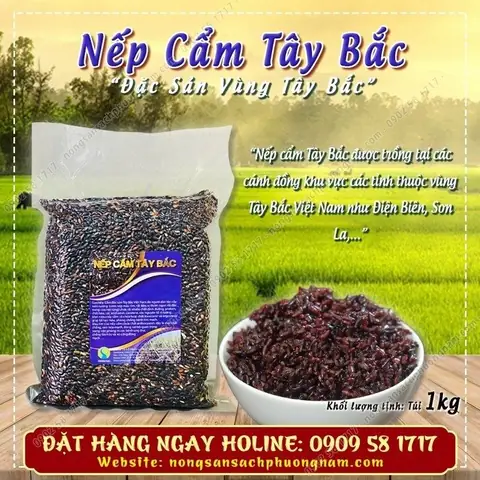 Lợi Ích Của Sữa Chua Nếp Cẩm