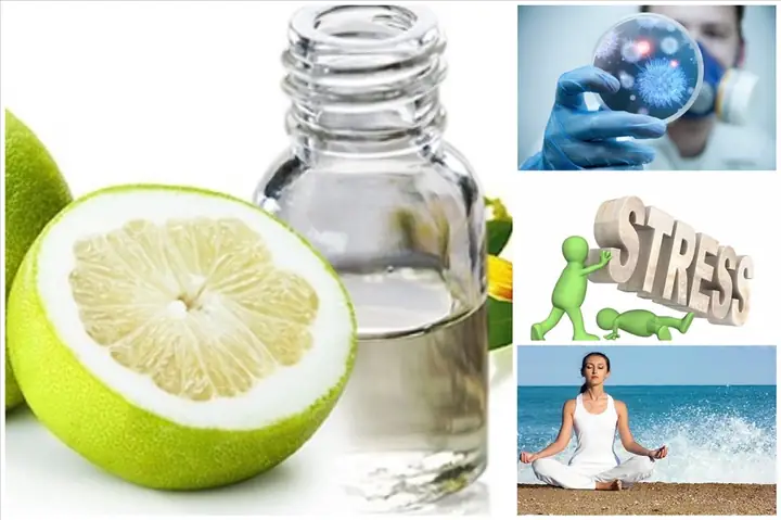 Lợi Ích Của Tinh Dầu Bưởi