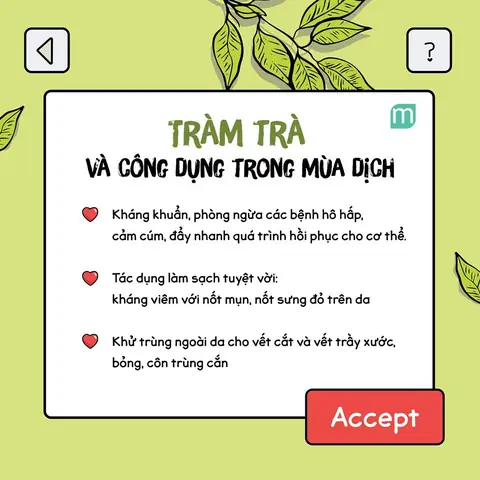 Lợi Ích Của Tinh Dầu Tràm
