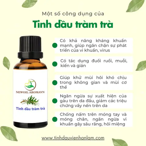 Lợi Ích Của Tinh Dầu Tràm