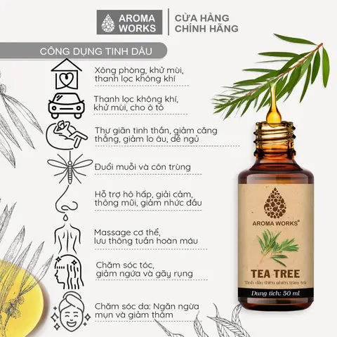 Lợi Ích Của Tinh Dầu Tràm