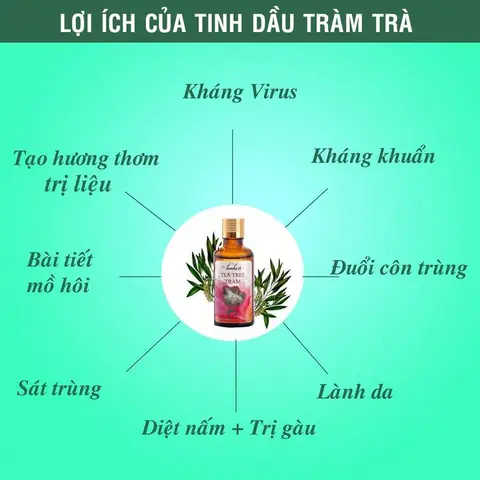 Lợi Ích Của Tinh Dầu Tràm