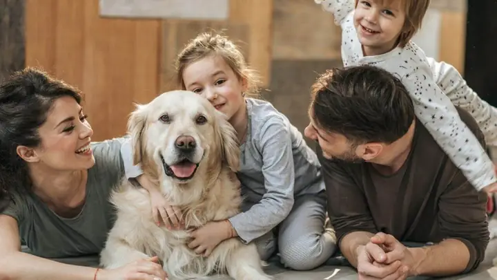 Lợi Ích Của Vật Nuôi Trong Nhà