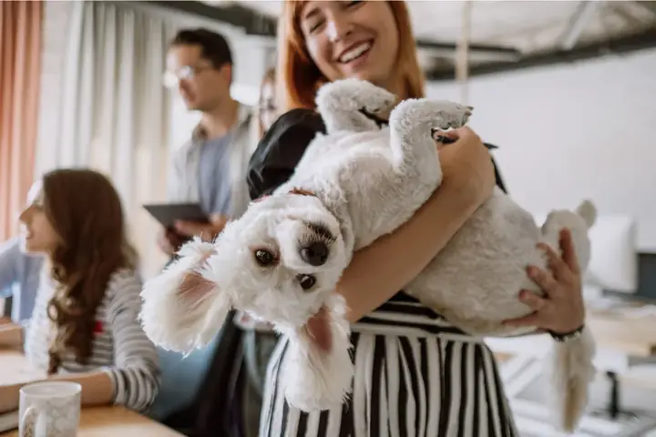 Lợi Ích Của Vật Nuôi Trong Nhà