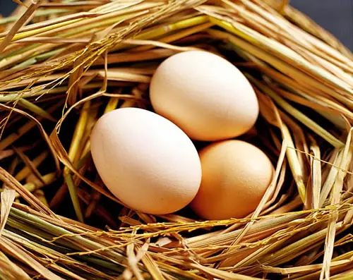 Lột Da Mặt Bằng Trứng Gà