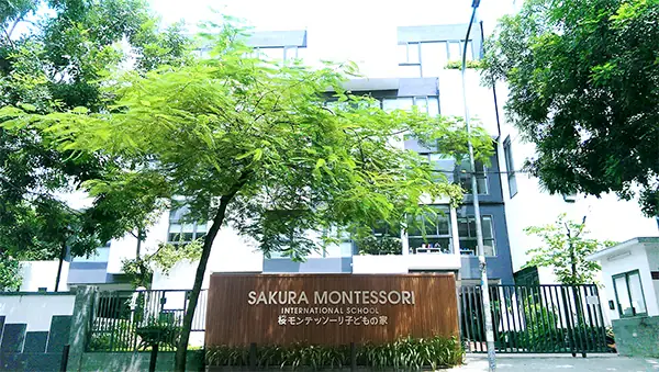 Mầm Non Sakura Montessori Dịch Vọng Cầu Giấy Hà Nội