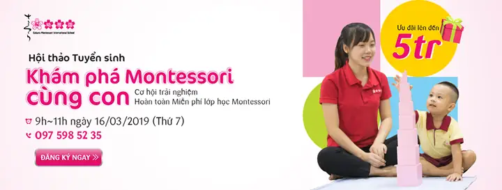 Mầm Non Sakura Montessori Dịch Vọng Cầu Giấy Hà Nội