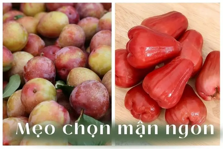Mận Hậu Bà Bầu Ăn Được Không Mận Hậu Bà Bầu Ăn Được Không