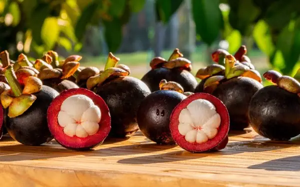 Măng Cụt Có Tác Dụng Gì Với Bà Bầu