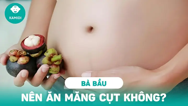 Măng Cụt Có Tác Dụng Gì Với Bà Bầu Măng Cụt Có Tác Dụng Gì Với Bà Bầu