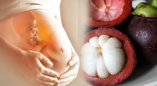 Măng Cụt Có Tác Dụng Gì Với Bà Bầu Măng Cụt Có Tác Dụng Gì Với Bà Bầu