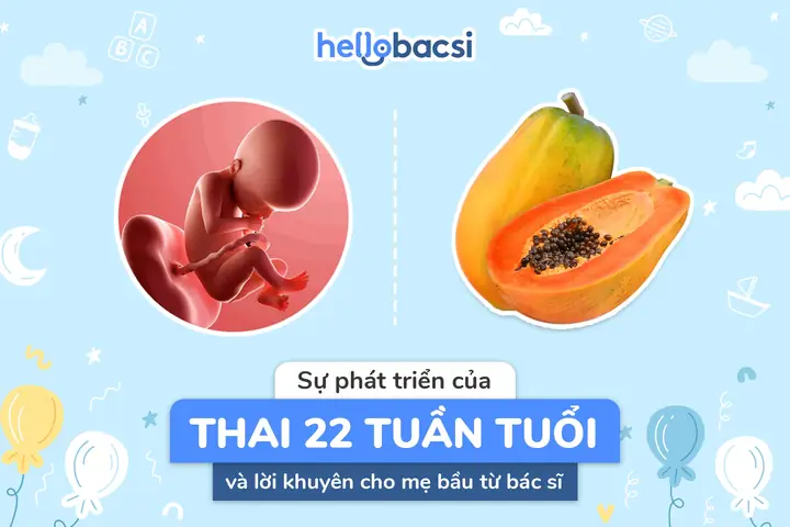 Mang Thai 22 Tuần Nên Ăn Gì