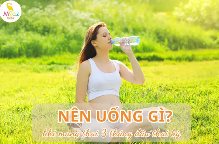 Mang Thai 3 Tháng Đầu Nên Uống Nước Gì