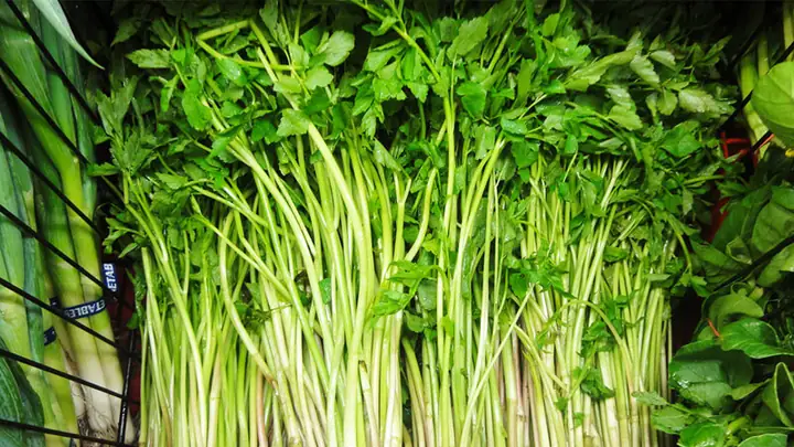 Mang Thai Ăn Rau Cần Được Không