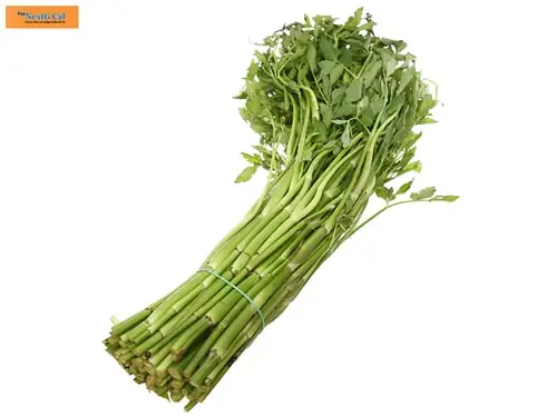Mang Thai Ăn Rau Cần Được Không