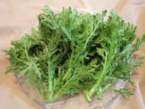 Mang Thai Ăn Rau Tần Ô Được Không
